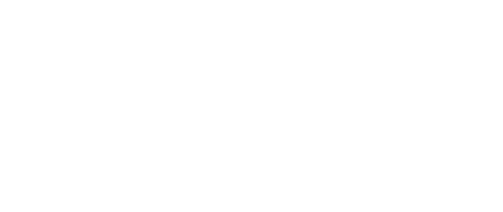 Logo Conexão BIM